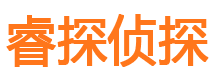 八道江市私家侦探